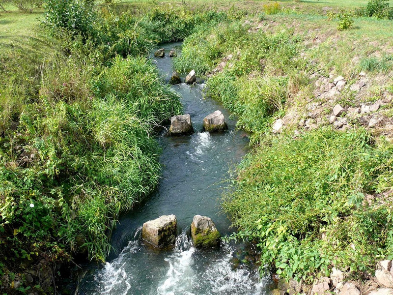 Bild eines Fließgewässers